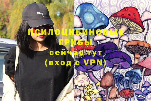 каннабис Аркадак