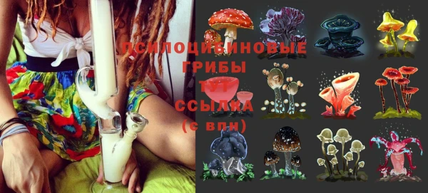 каннабис Аркадак