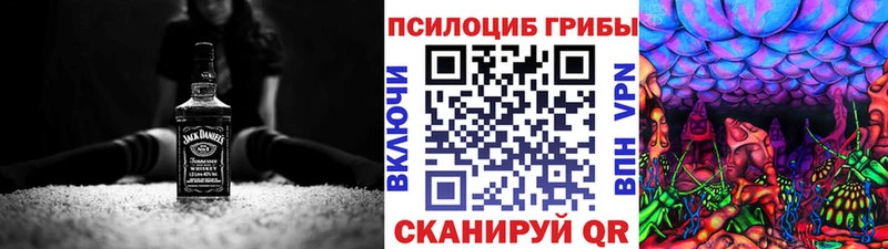 mega зеркало  Порхов  Псилоцибиновые грибы Magic Shrooms 